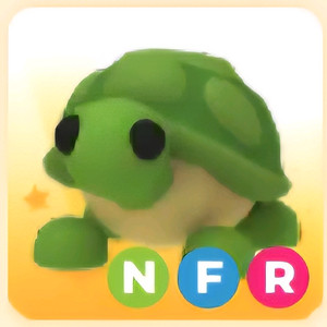 입양하세요 NFR 거북 (네거북)