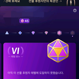 틱톡 후원자 레벨 45