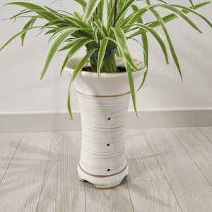 나비란, 나비난, 접란