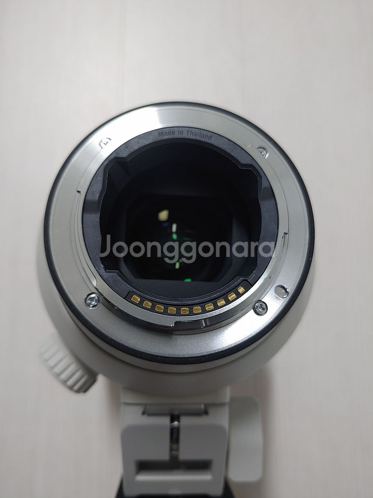 SONY FE 70-200mm F2.8 GM OSS--5