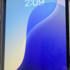 아이패드 프로11 m4 256gb 실버 팝니다