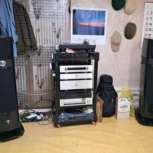 스피커 FOCAL SOPRA NO.2