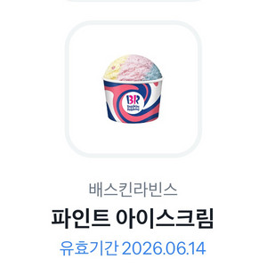 베스킨라빈스 파인트 아이스크림