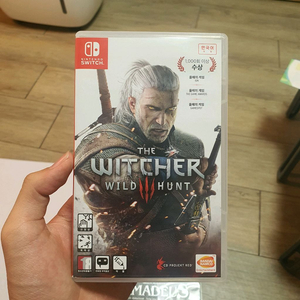 닌텐도 스위치 위쳐3
