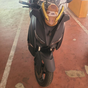 xmax300