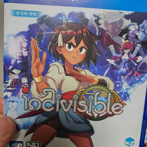 ps4 인디비저블