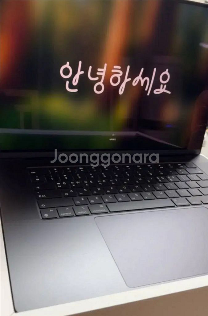 맥북 프로 m4 16인치 14코어 512gb 급처합니--3