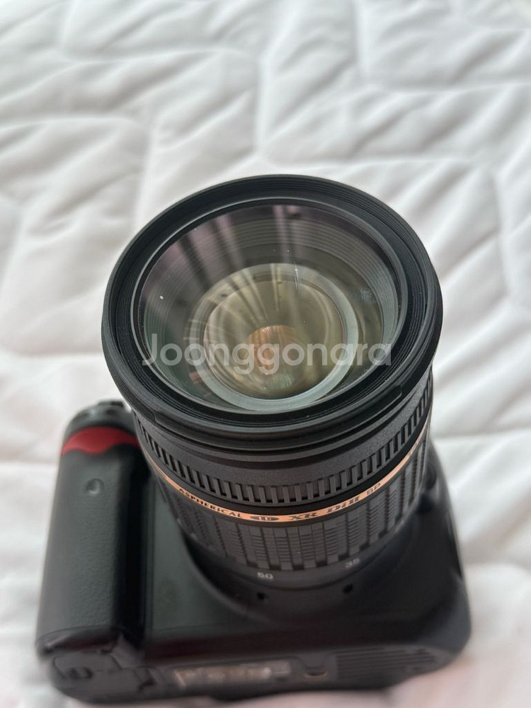 니콘 D5000+탐론 렌즈--1