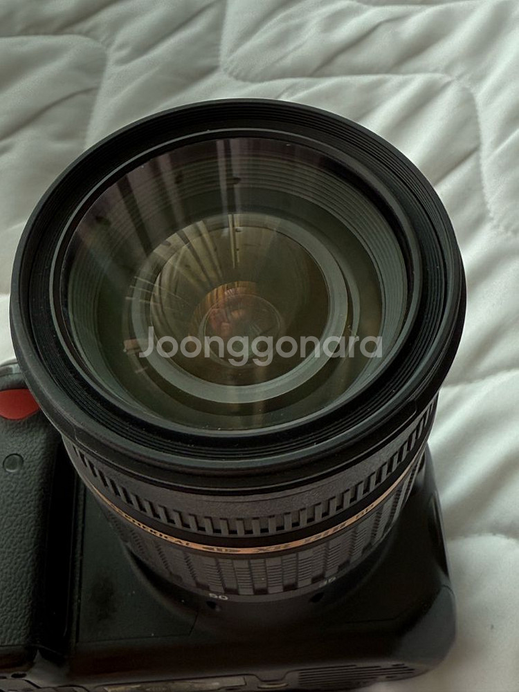니콘 D5000+탐론 렌즈--2