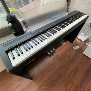 피아노