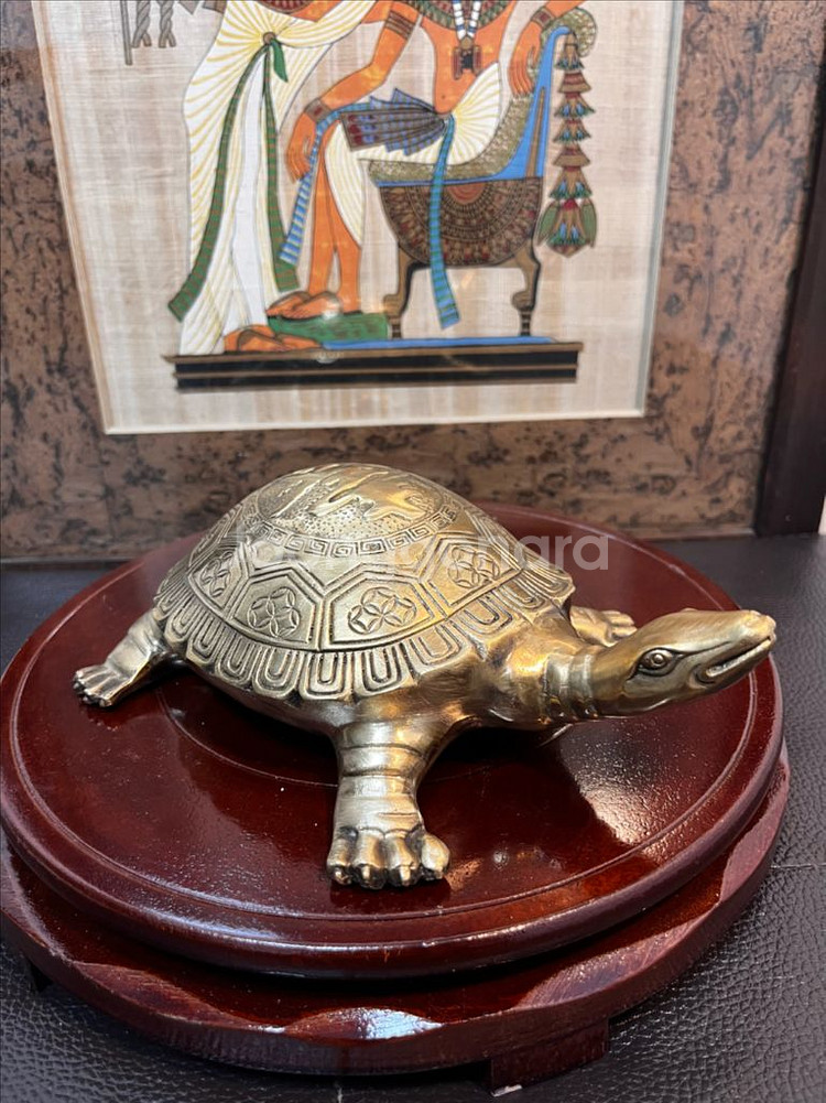 동브론즈 자라(22cm)--0
