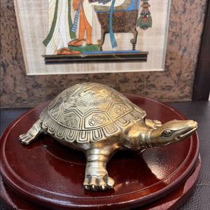 동브론즈 자라(22cm)