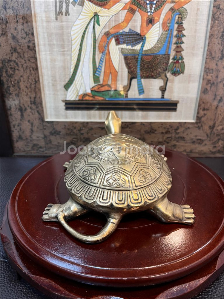 동브론즈 자라(22cm)--2