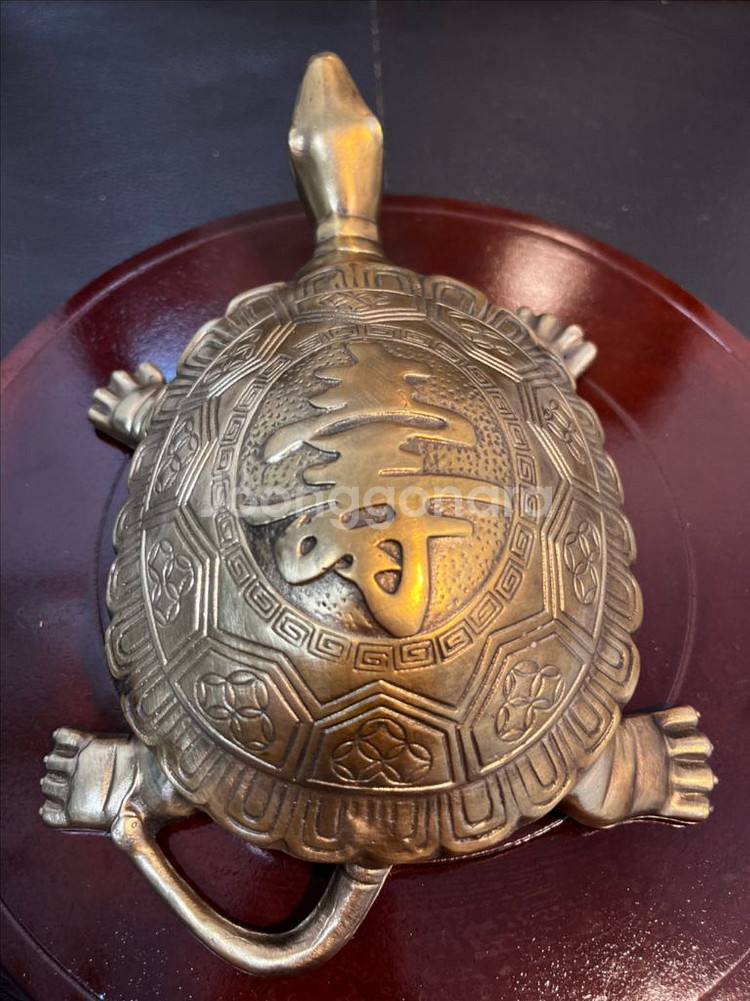 동브론즈 자라(22cm)--5
