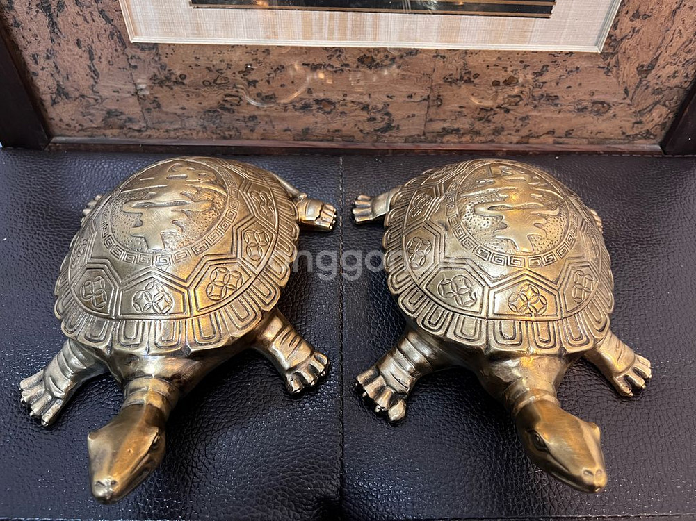 동브론즈 자라(22cm)--6