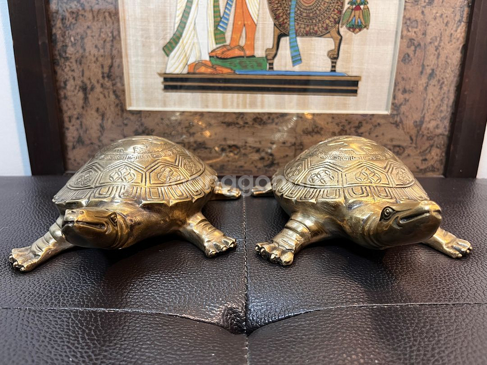 동브론즈 자라(22cm)--7