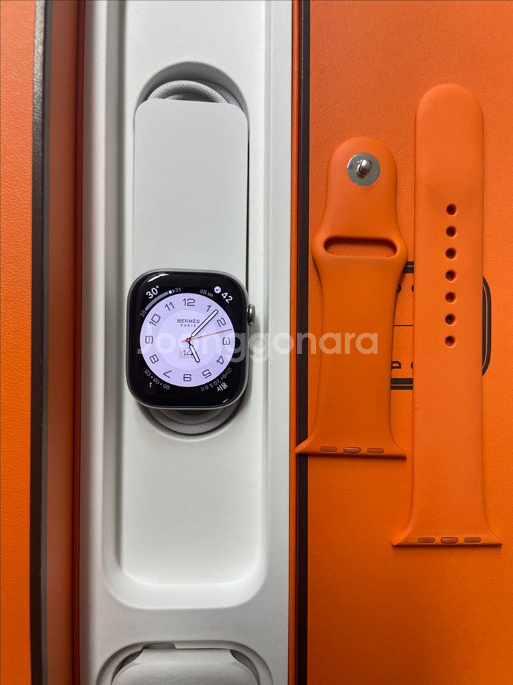 애플워치10에르메스 46mm 애플케어+--0