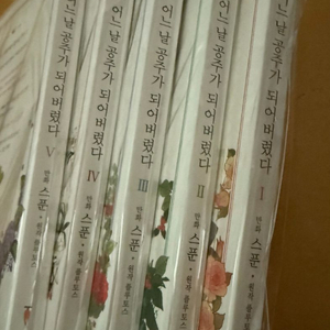 어느날 공주가 되어버렸다 1~5권