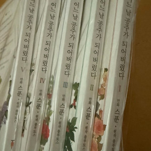어느날 공주가 되어버렸다 1~5권