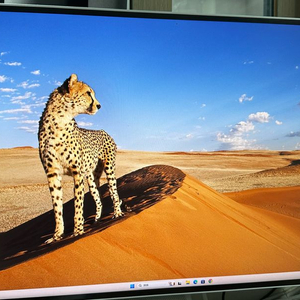 주연테크 27인치 QHD USB-C 모니터