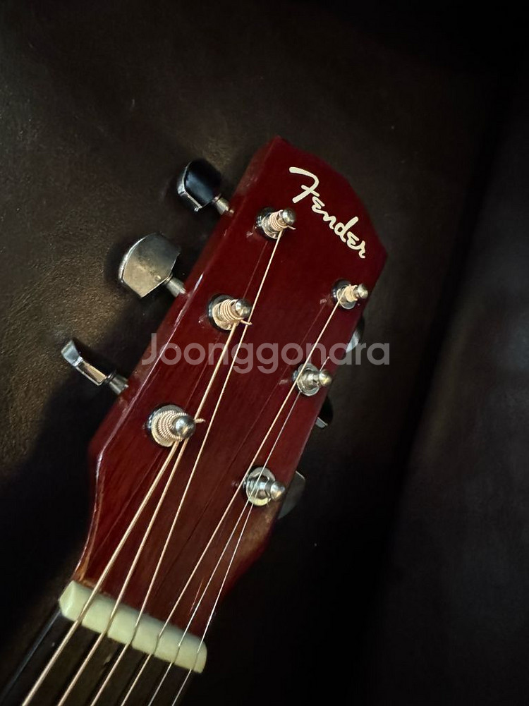 펜더 DG-8 NAT--0