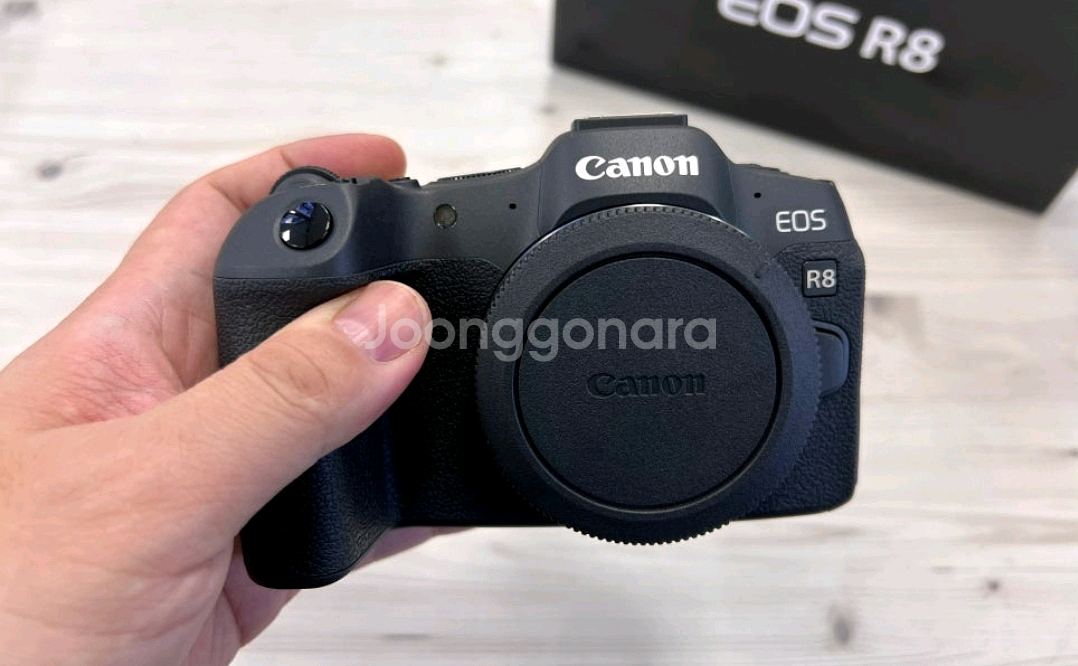 캐논eos R8--0