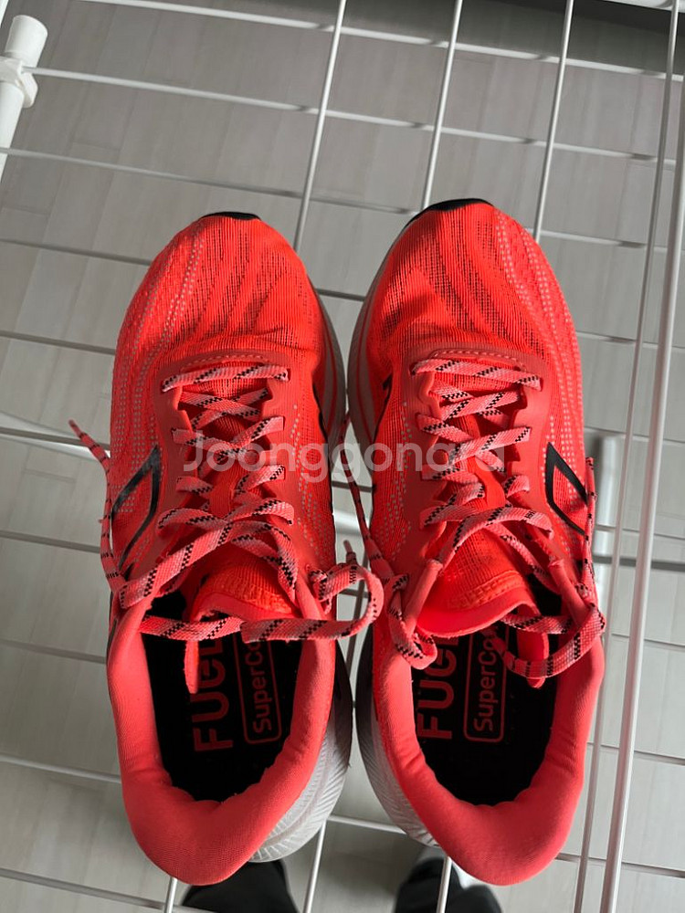 (240) 뉴발란스 트레이너 v2 D 퓨어셀--1