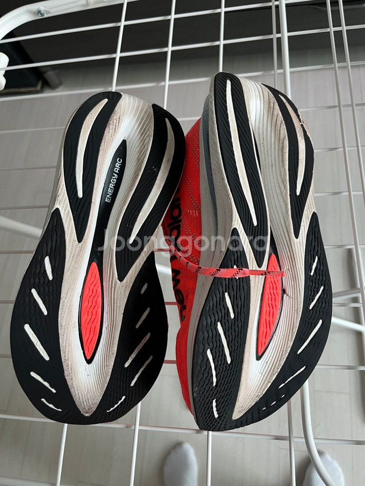 (240) 뉴발란스 트레이너 v2 D 퓨어셀--3