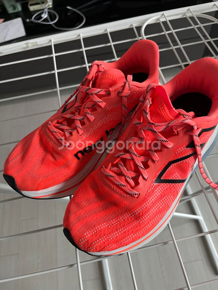 (240) 뉴발란스 트레이너 v2 D 퓨어셀--0