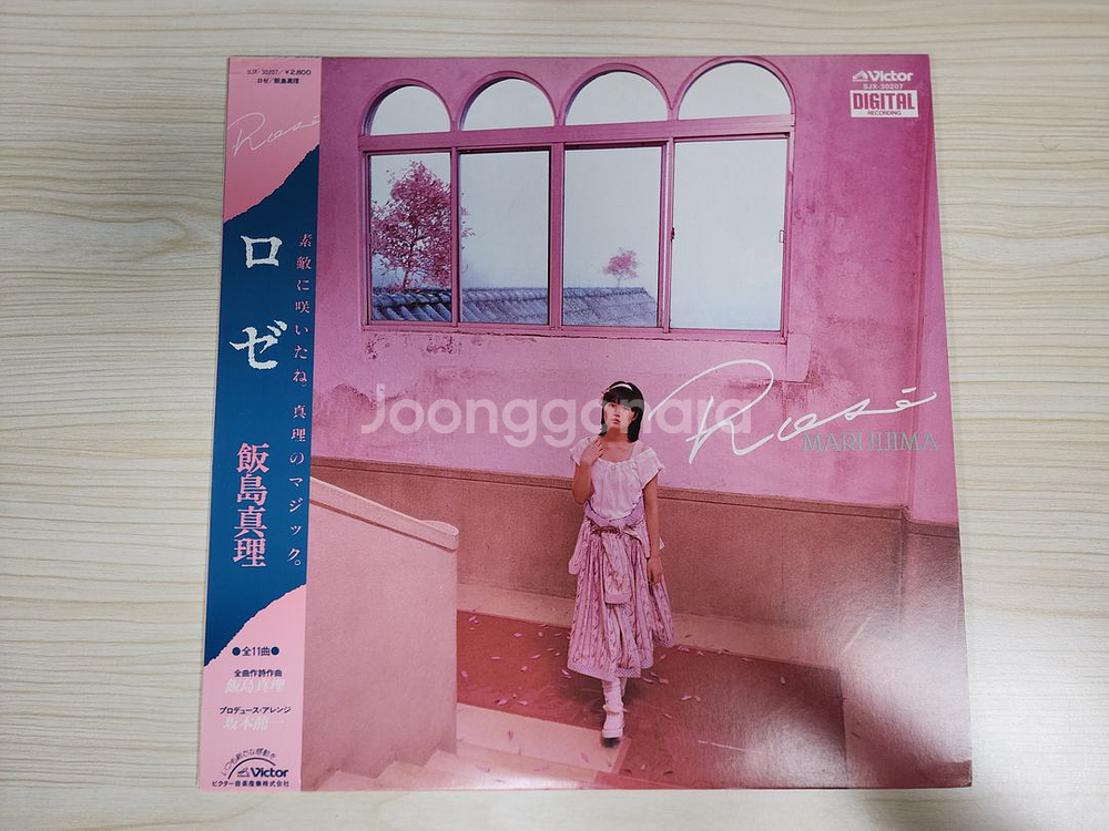 이이지마 마리 LP 바이닐 음반--1
