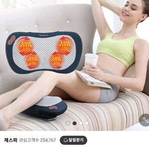 제스파 웨이브플러스 진동 마사지기