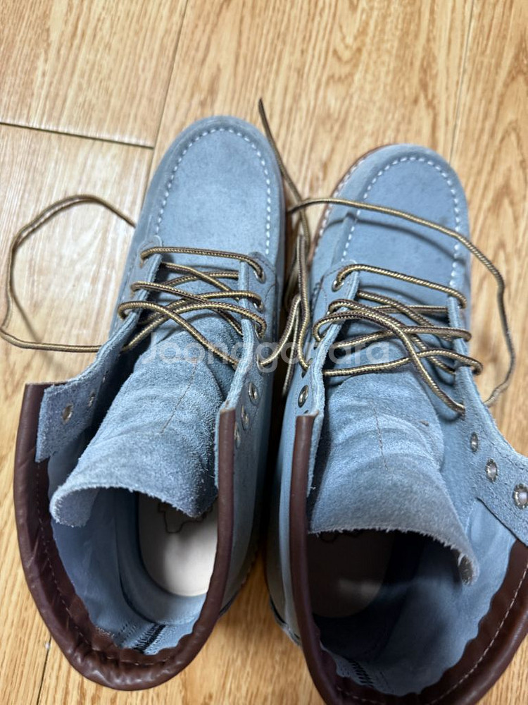 레드윙정품 8800D us7.5(255mm)--0