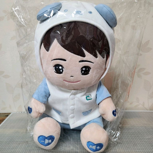 노인을 위한 AI 돌봄 인형(두리챗봇)입니다