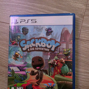 ps5 색보이