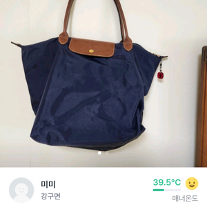 롱샴 숄더백 대형