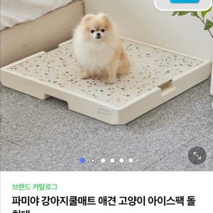 파미야 강아지 대리석 쿨매트 판매+아이스팩2p