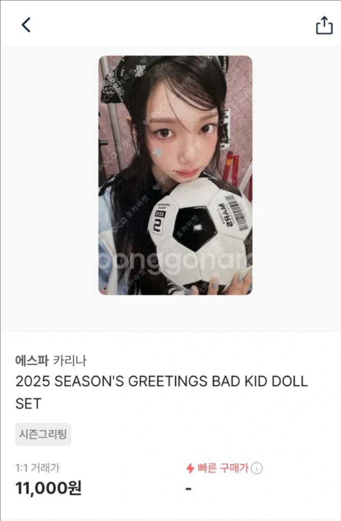 에스파 카리나 카냥이 인형, 포카--1