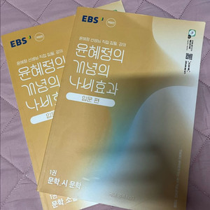 윤혜정의 개념의 나비효과 문학 1권