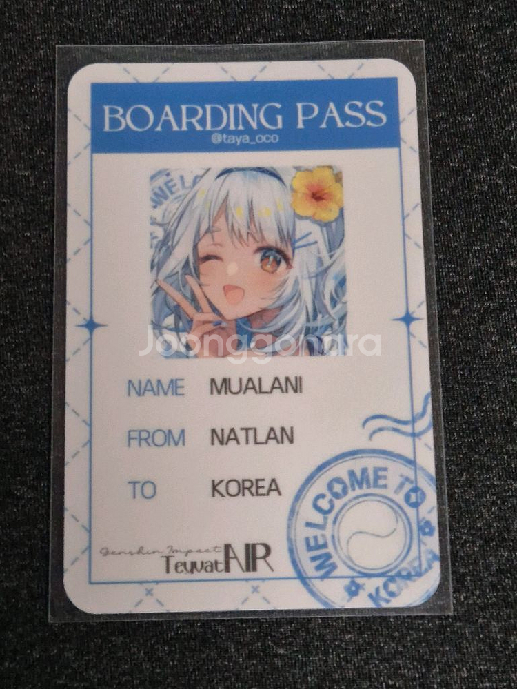 말슈붕 ㅌㅇ님 타야님 말라니 여행 홀그 포카 원가양도--1