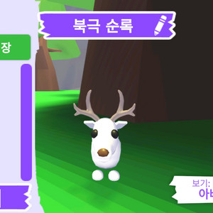 입양하세요 펫 북극 순록 (흰순록) 판매합니다.