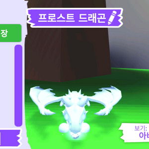 입양하세요 펫 프로스트 드래곤(얼드)판매합니다