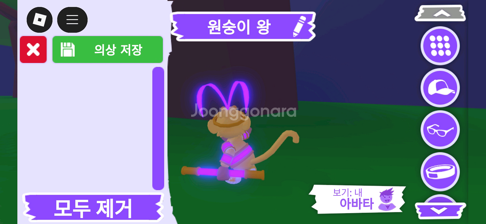 입양하세요 펫 메가네온 원숭이 왕(킹몽) 판매합니다--3