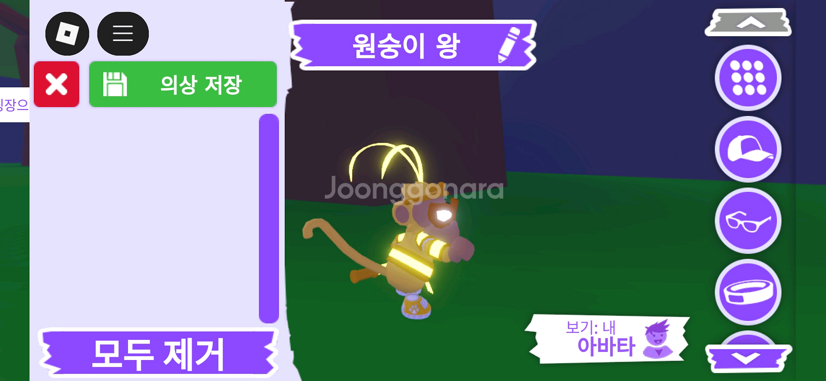 입양하세요 펫 메가네온 원숭이 왕(킹몽) 판매합니다--1