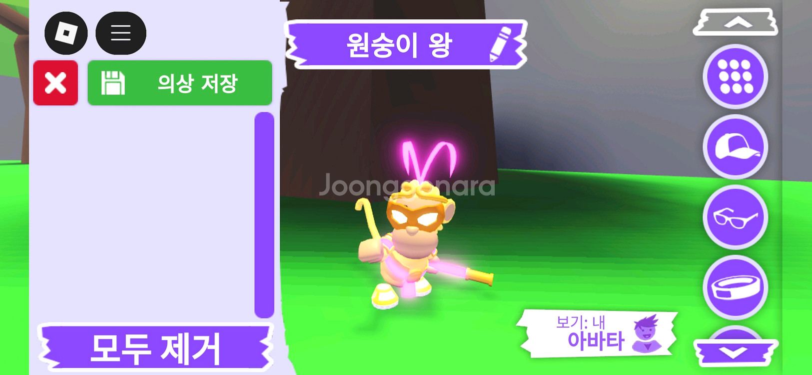 입양하세요 펫 메가네온 원숭이 왕(킹몽) 판매합니다--0