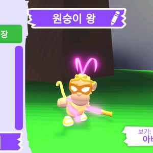 입양하세요 펫 메가네온 원숭이 왕(킹몽) 판매합니다