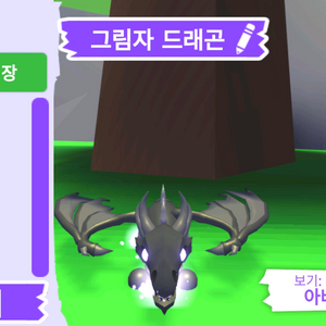 입양하세요 펫 그림자 드래곤 (쉐드) 판매합니다