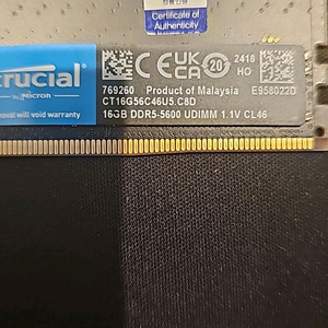 크루셜 crucial ddr5 5600Mhz 16g