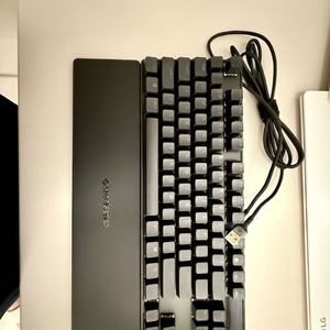 에이펙스 프로 tkl gen3(급처) 이미지