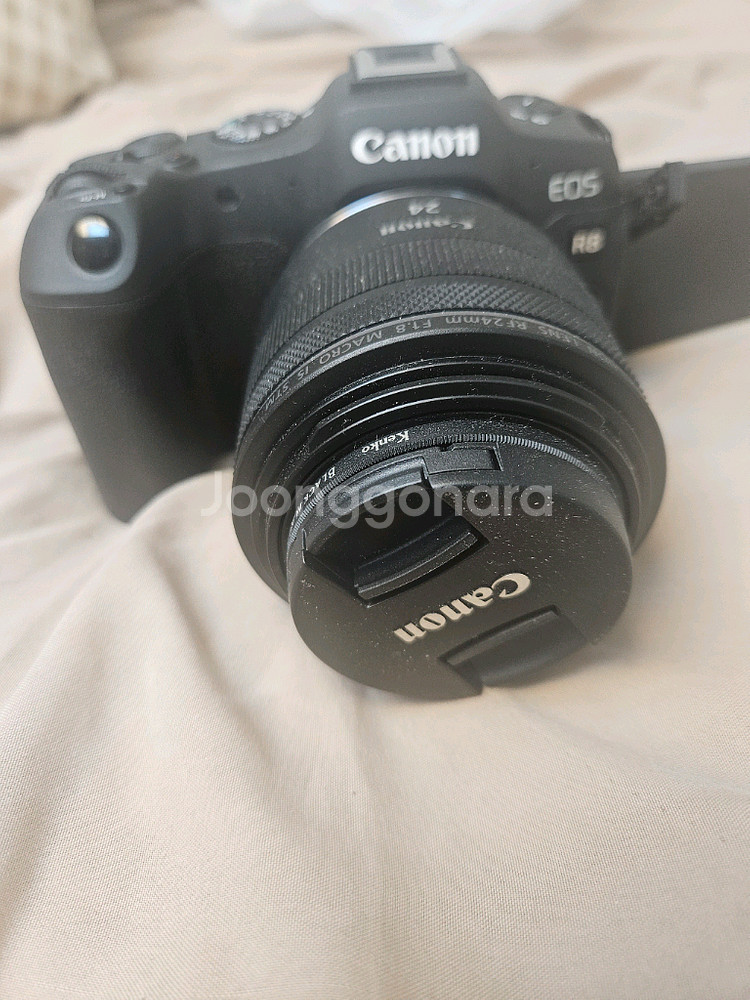 캐논eos R8--2