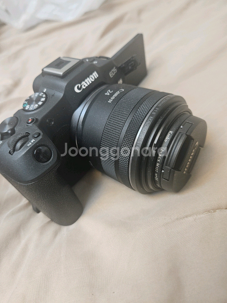 캐논eos R8--1